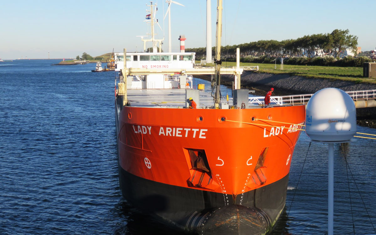 Wijnne Barends Lady Ariette