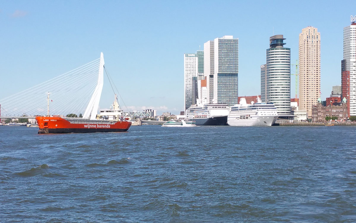 4 Wijnne Barends Lady Adele